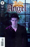 Buffy : Angel : The Hollower